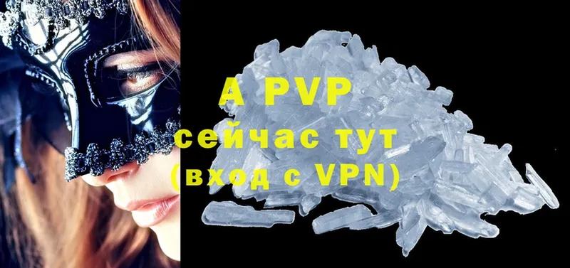 мега как войти  Зеленогорск  Alfa_PVP СК 